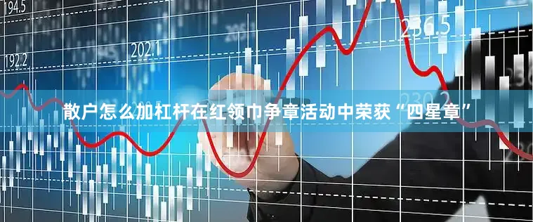 散户怎么加杠杆在红领巾争章活动中荣获“四星章”
