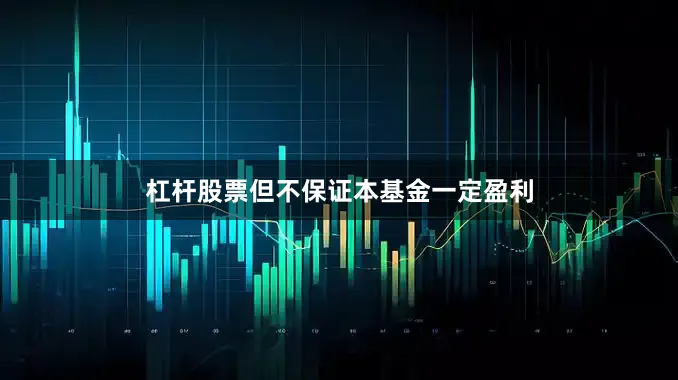 杠杆股票但不保证本基金一定盈利
