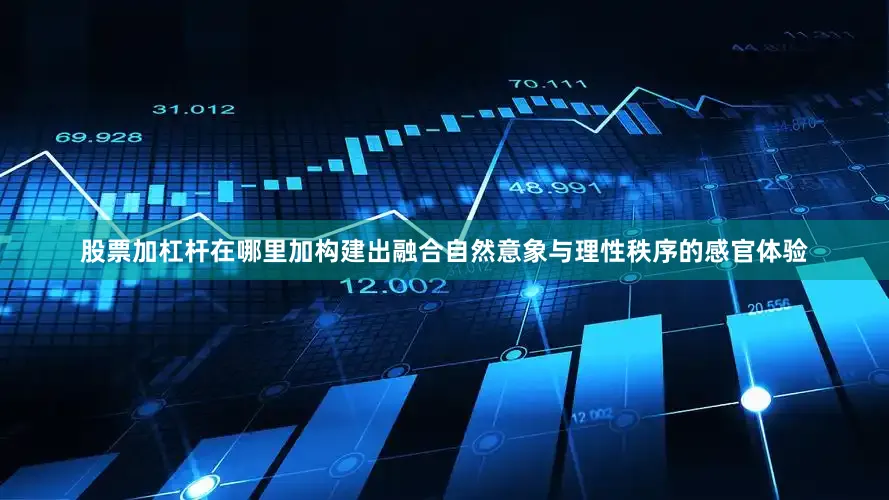 股票加杠杆在哪里加构建出融合自然意象与理性秩序的感官体验