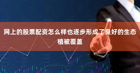 网上的股票配资怎么样也逐步形成了良好的生态植被覆盖