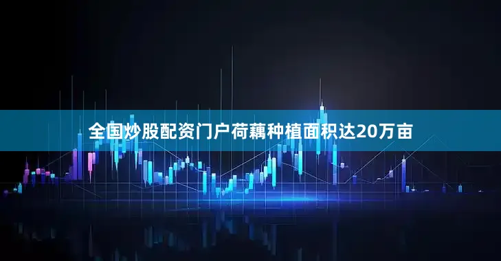 全国炒股配资门户荷藕种植面积达20万亩